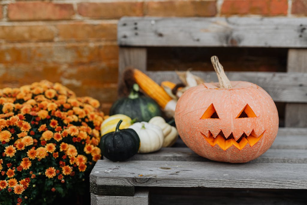 Jack O Lantern on a Wooden Bench